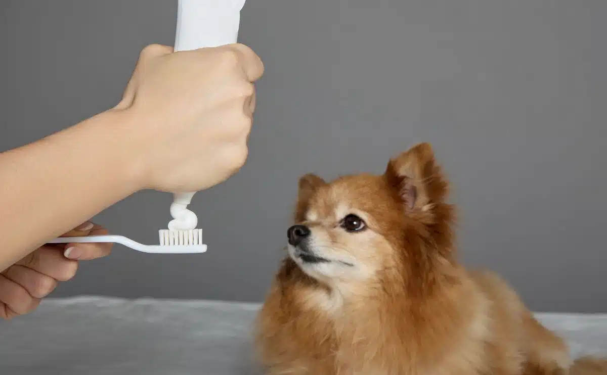 can you use baking soda and water to brush your dogs teeth