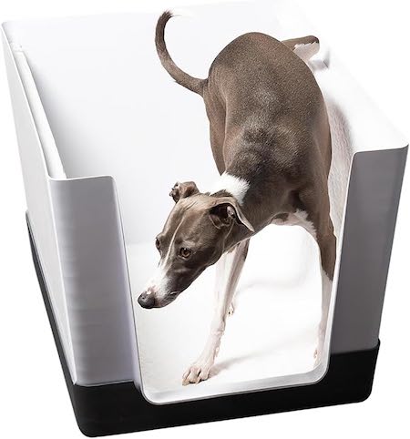 Doggy Bathroom litter box
