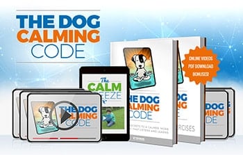 Doggy Dan’s famous Dog Calming Code