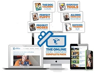 Doggy Dan The Online Dog Trainer courses