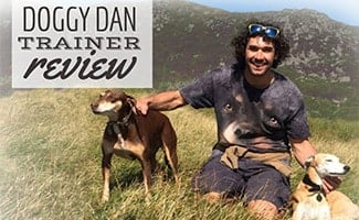 Doggy Dan with 2 dogs (caption: Doggy Dan Trainer Review)