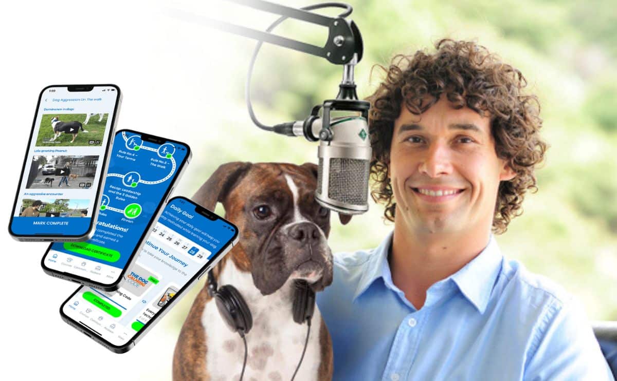 Doggy Dan with dog and phones with training app