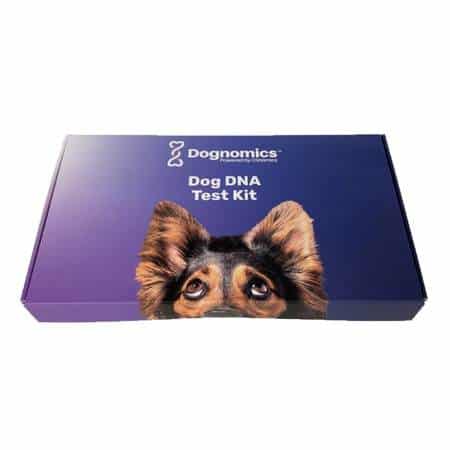 Dognomics Dog DNA Test