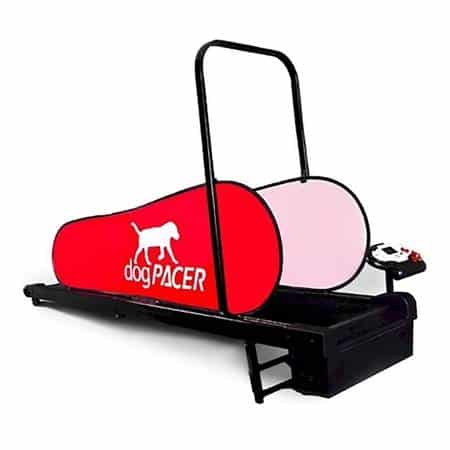 dogPACER Treadmill 