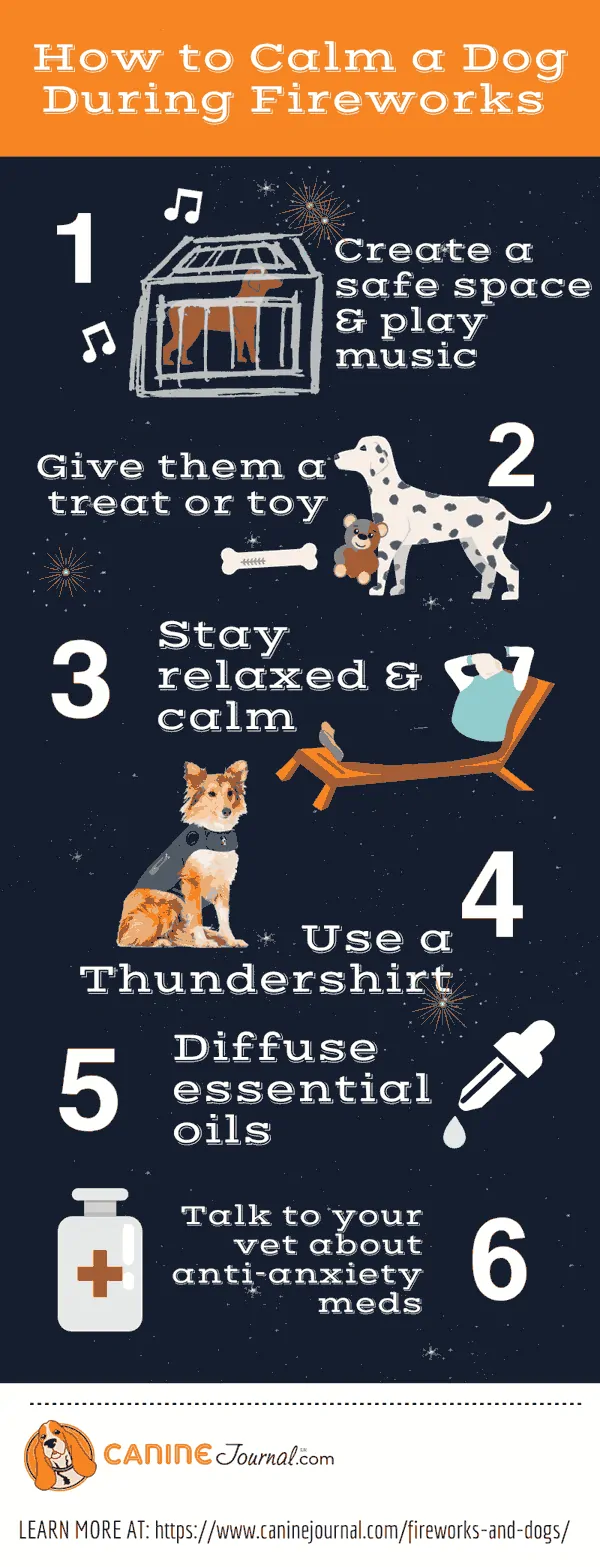 How To Keep Dog Calm During Fireworks