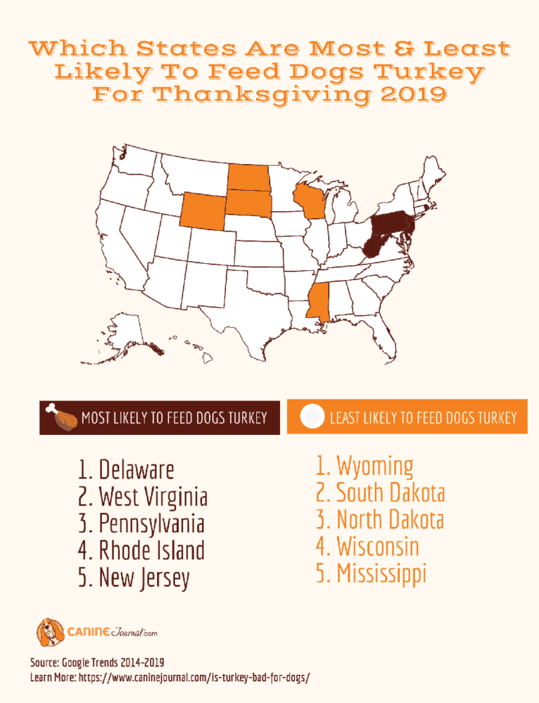 Is Turkey Bad For Dogs? (The Truth)