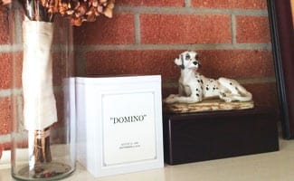 pet cremation options