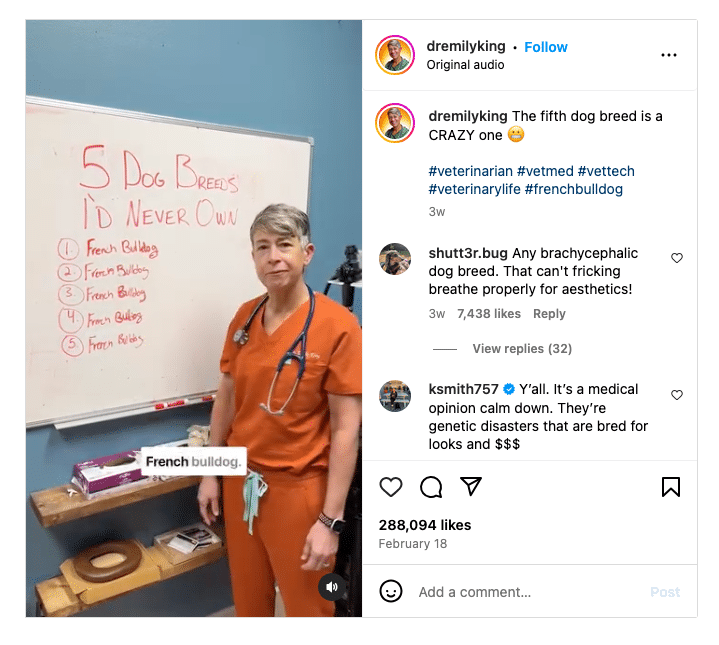 Dr. Emily King showing five breeds shed never own all French Bulldogs on Instagram.