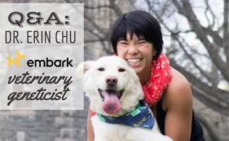 Dr. Erin Chu with dog (Caption: Q&A: Dr. Erin Chu Embark Veterinary Geneticist)