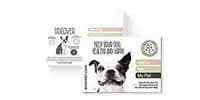 EasyDNA test