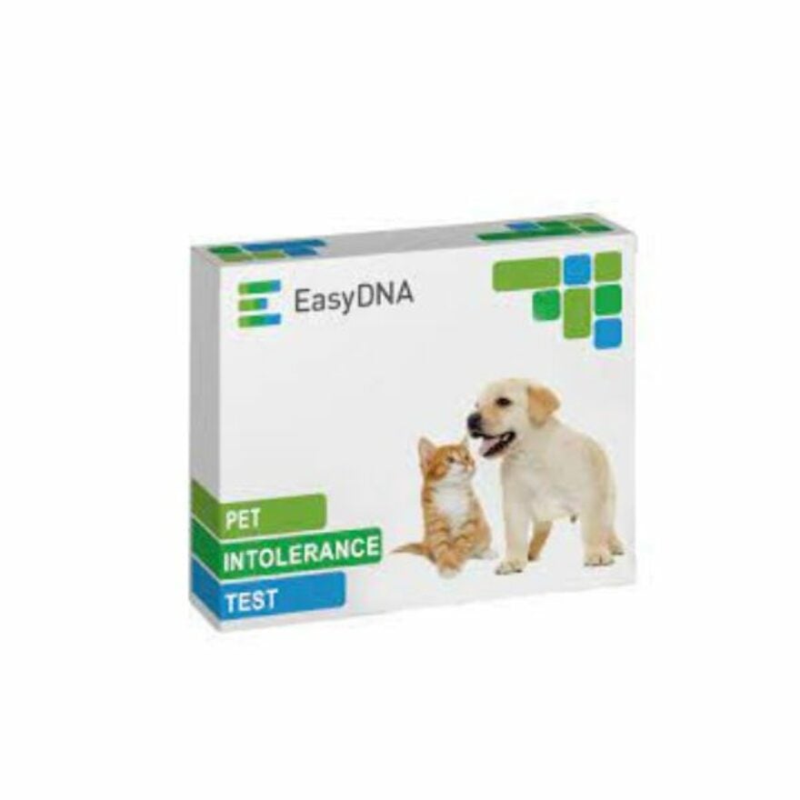 Dog Allergy Testing How Much Does It Cost And Is It Worth It? We Review The 5 Best AtHome Tests