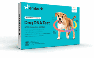 Embark breed and health test