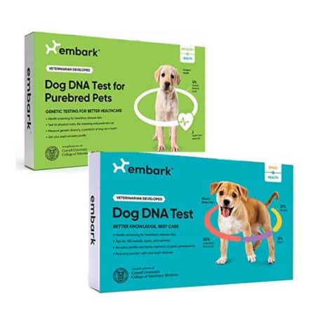 embark breed and health tests