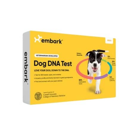 Embark dog dna review cheap