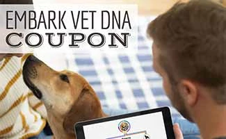 Dog and man with Embark results on tablet (Caption: Embark Vet DNA Coupon)