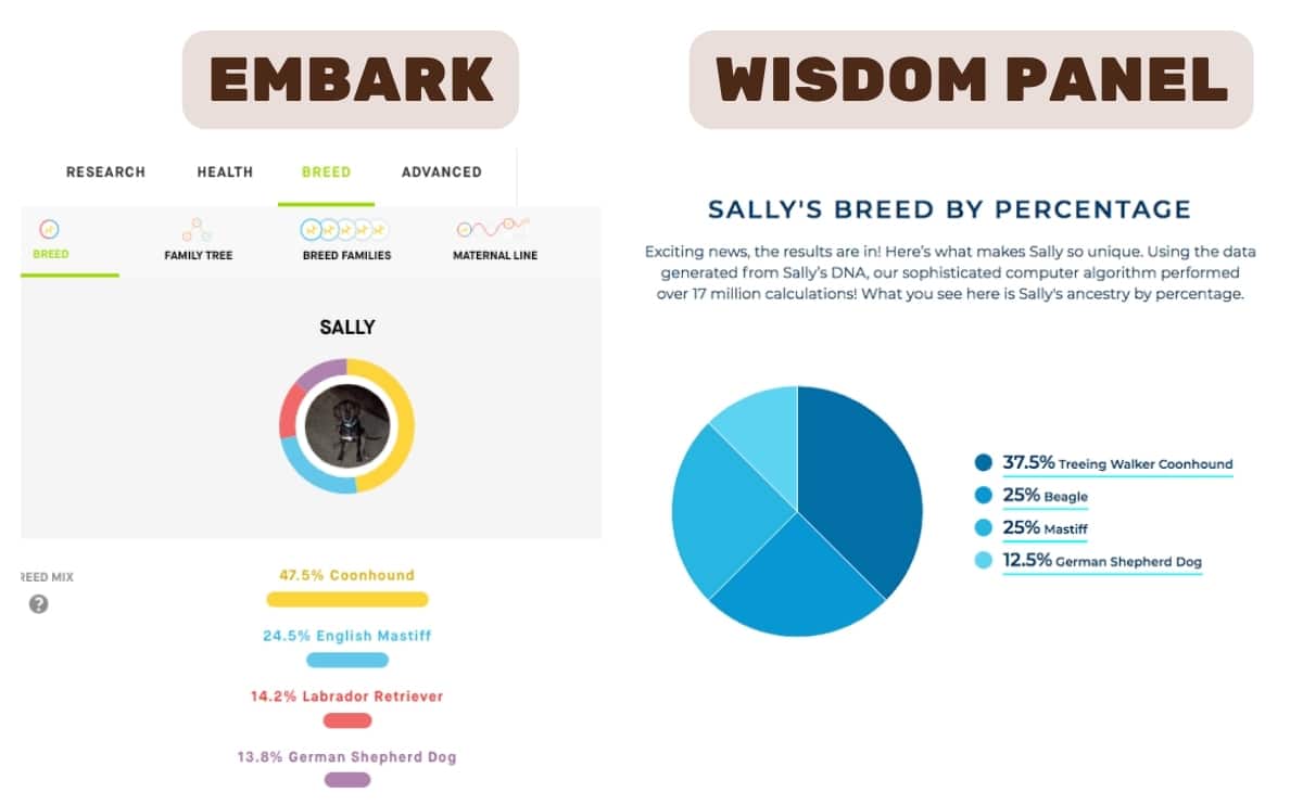 embark vs wisdom panel dna test breed results screenshots