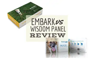 Embark Dog DNA vs Wisdom Panel boxes