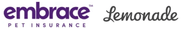 embrace lemonade logos png