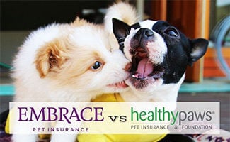 Two dogs playing (Caption: Embrace vs Healthy Paws logos)