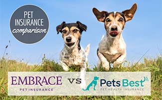 Two dogs running in field (Caption: Pet Insurance Comparison Embrace vs Pets Best)