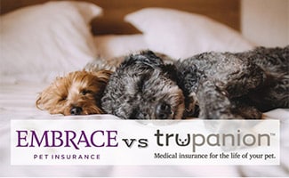 Two dogs laying on bed (caption: Embrace vs Trupanion)