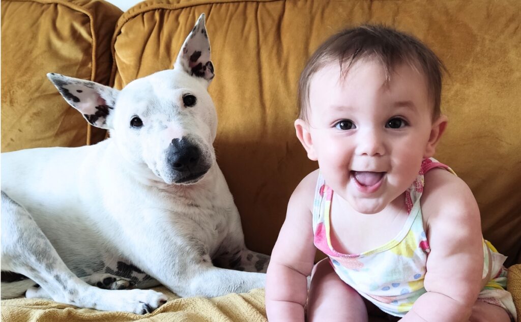 Emma's daughter with her dog on a sofa.