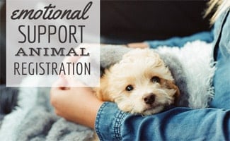 Dziewczyna trzymająca psa na kolanach z kocem (podpis: Emotional Support Animal Registration)