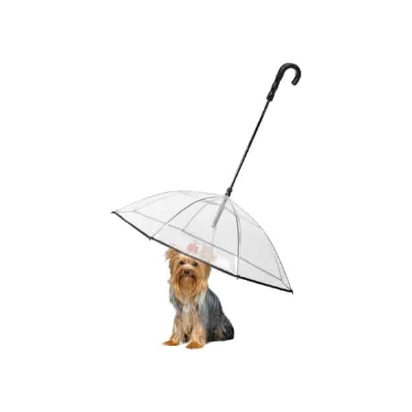 Enjoying Pet Umbrella