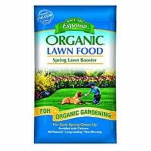 Espoma EOLB30 Organic Lawn Food.