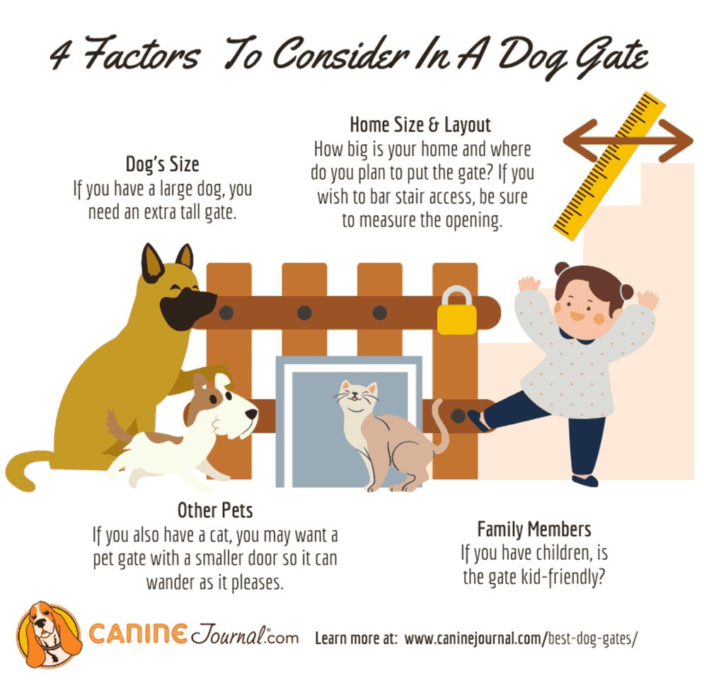 4 Factors To Consider In A Dog Gate Infographic