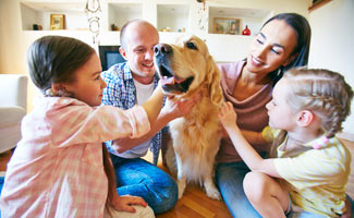 Family petting dog