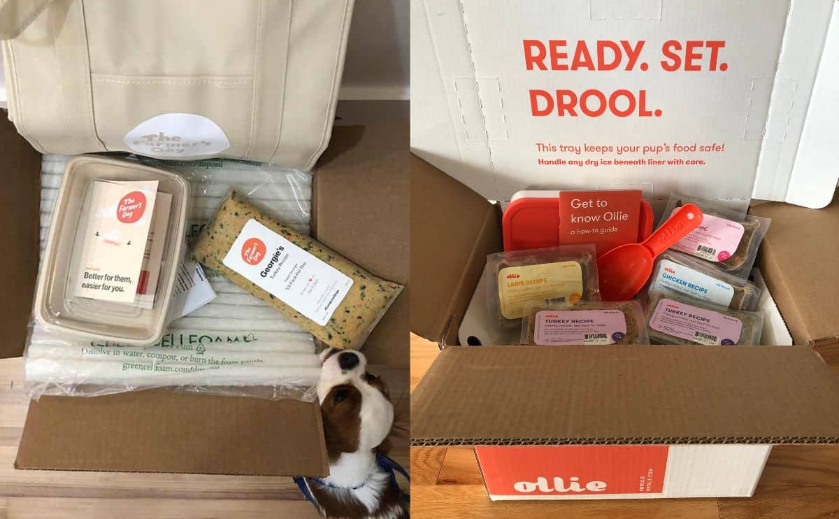 Farmers Dog box next to Ollie dog food box.