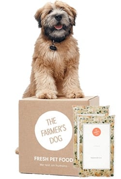 Best Dog Food Delivery Service 2020 