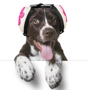 Farmikako headphones for dogs.