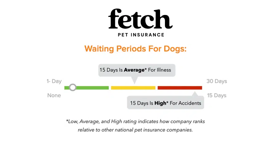 Fetch Pet Insurance