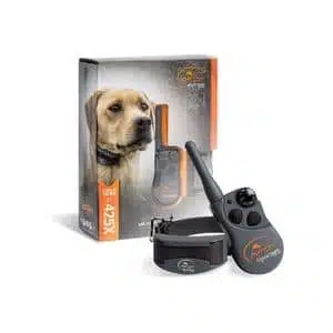 are shock collars humane for dogs