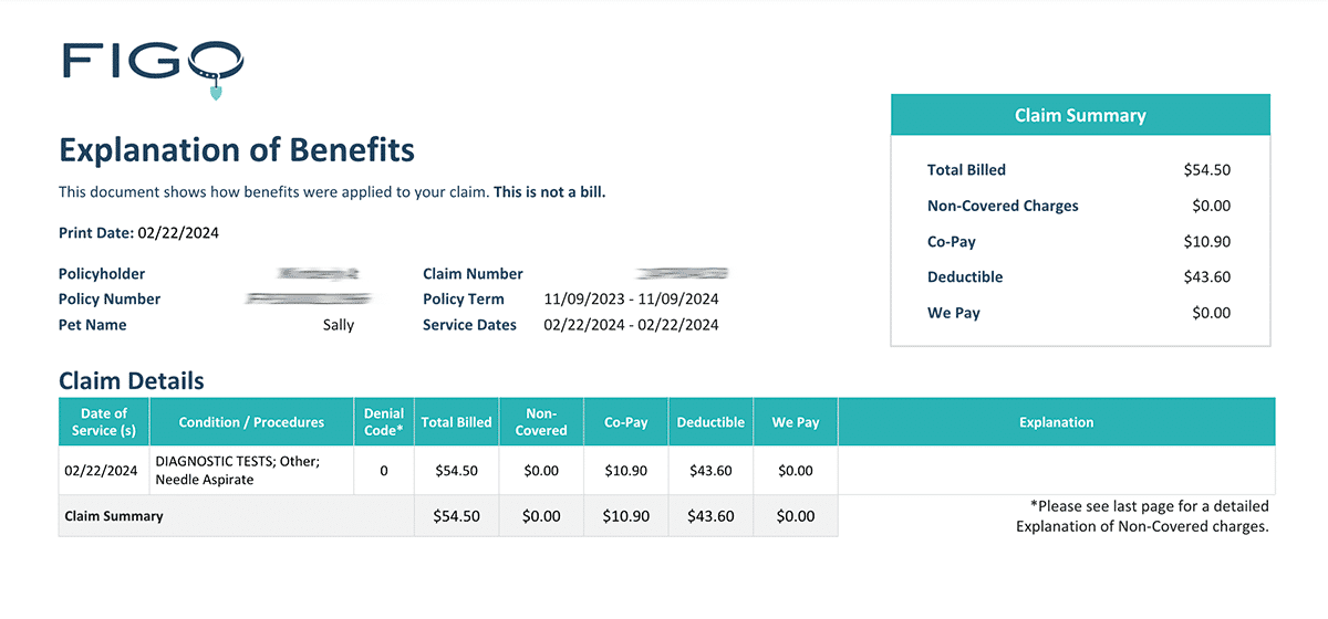 Figo Pet Insurance Reviews What Does It Cover? Cost And Quote