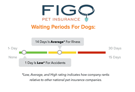 Figo Pet Insurance Waiting Periods