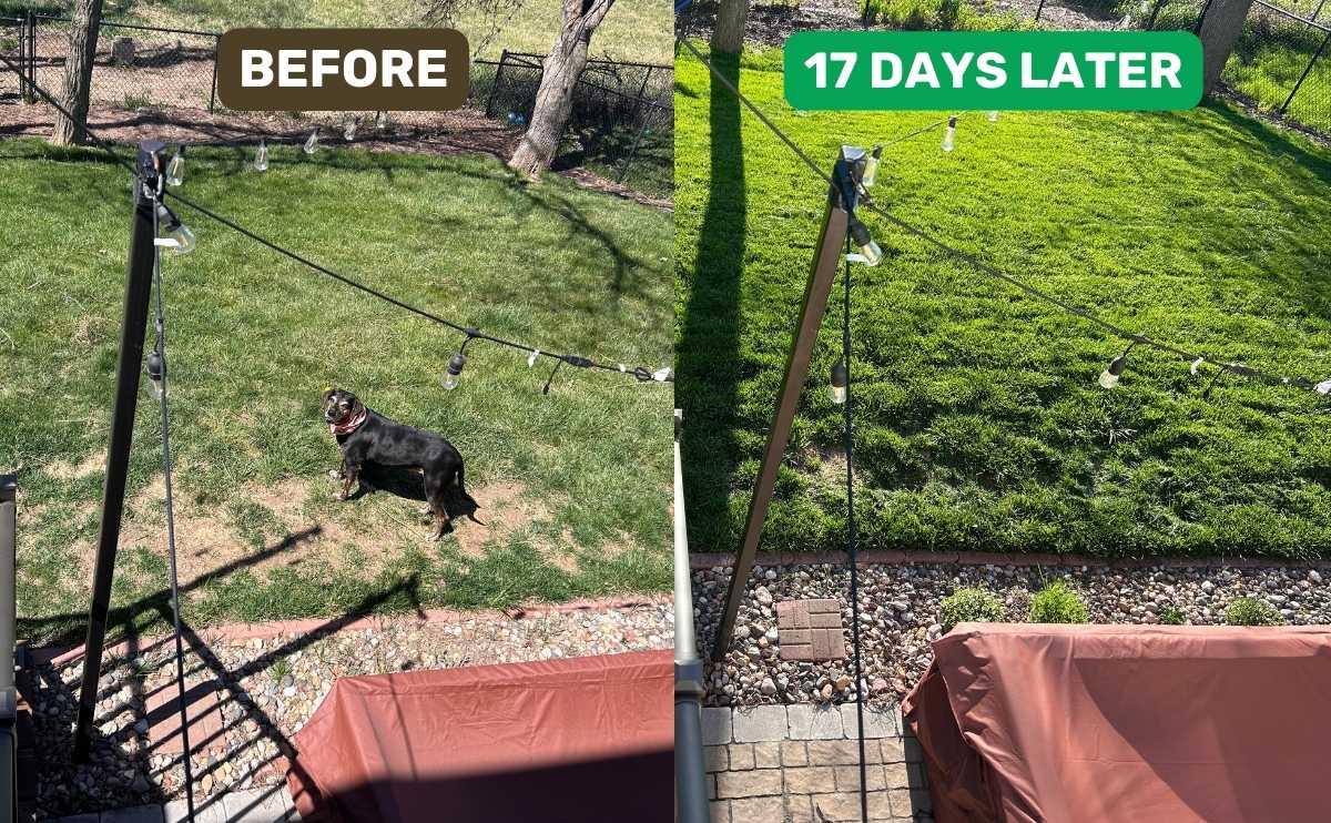 First Saturday lime before and after.