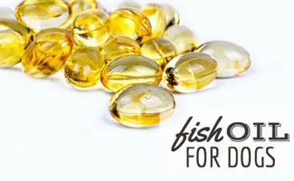 Fish Oil capsules (caption: Fish Oil For Dogs)