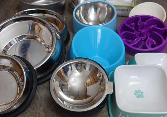 Flat-faced dog bowls ready for testing.