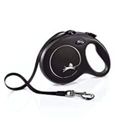 Flexi leash