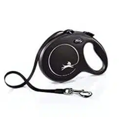 Flexi leash