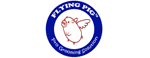 Flying Pig logo