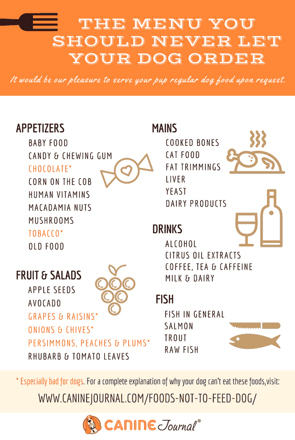 Dangerous Foods For Dogs Chart