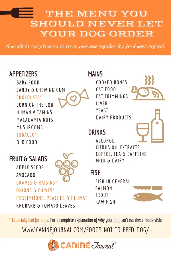 Infographic: The Menu Of Foods Not To Feed Dogs