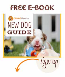 Canine Journal E-Book Signup