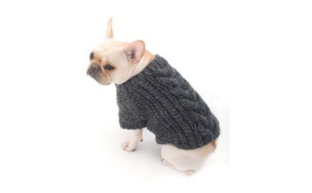 French Bulldog in a cardigan designed by Susan Haviland.