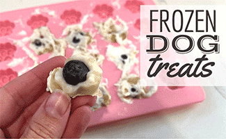 Pink dog paw silicone treat mold with frozen treats with blueberries (Caption: Frozen Dog Treats)