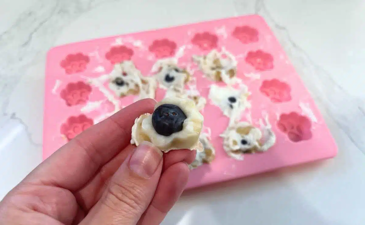 frozen dog treats with banana